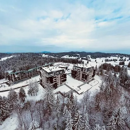Silver Mountain, Poiana - Forest Crib アパート