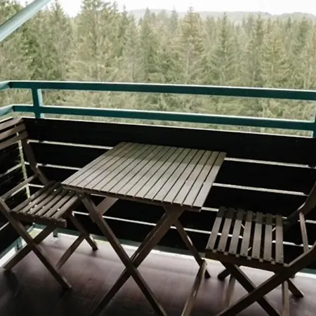 Silver Mountain, Poiana - Forest Crib アパート *