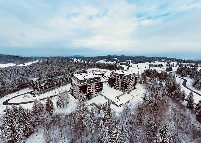 Silver Mountain, Poiana - Forest Crib Apartament