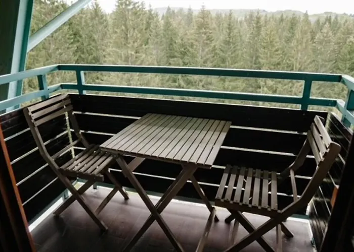 Silver Mountain, Poiana - Forest Crib Appartamento *