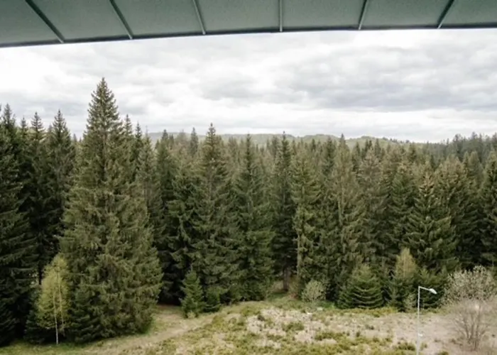 Apartament Silver Mountain, Poiana - Forest Crib Braszów